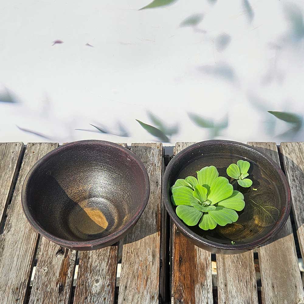 ��ǰ ������