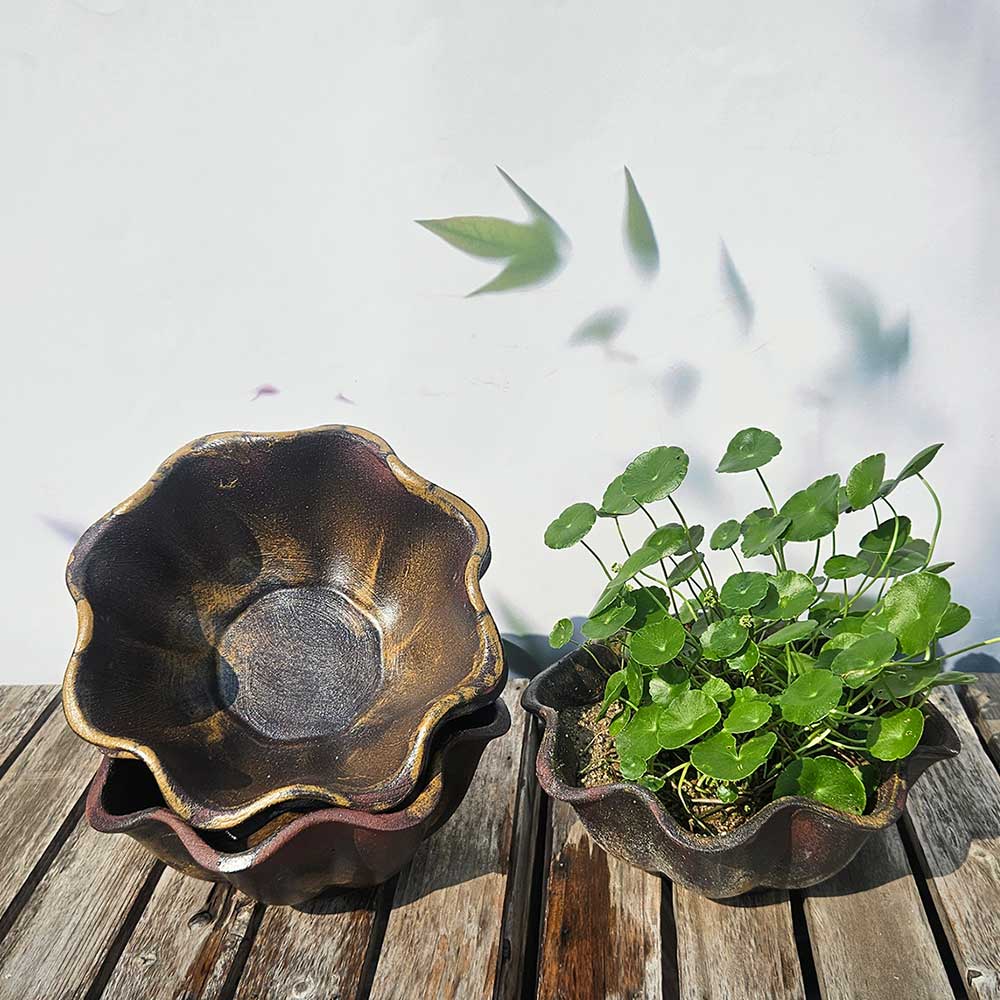 ��ǰ ������