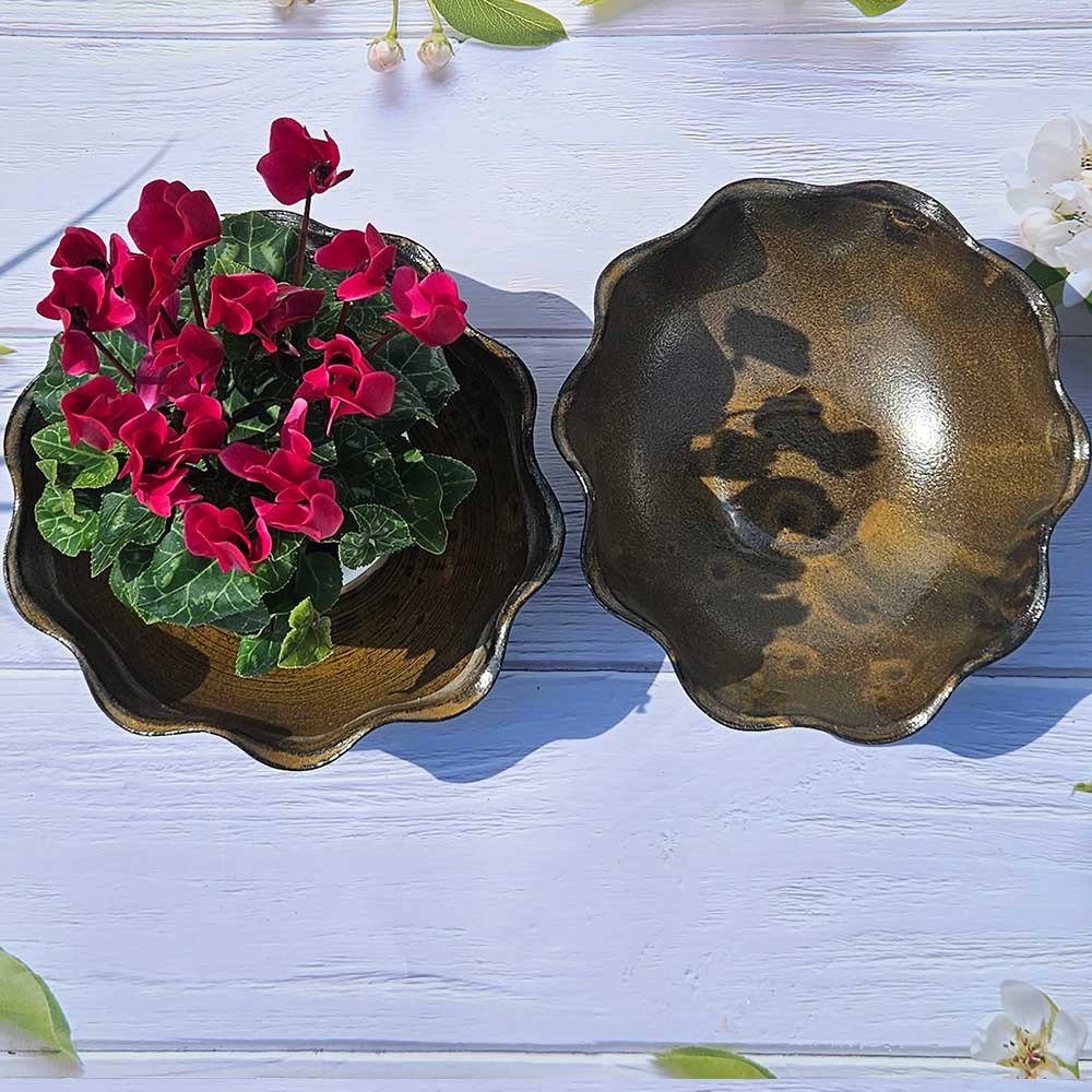 ��ǰ ������