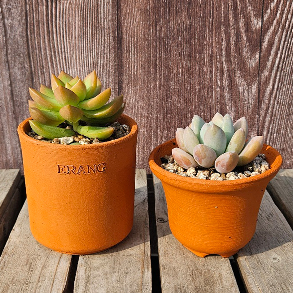 ǰ 
